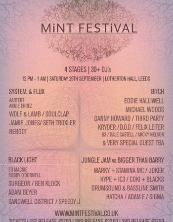 mint festival 2012